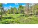 Aerial view of the lush, green yard surrounded by trees, showcasing a well-maintained lawn and peaceful, private setting at 8820 Mud Creek Rd, Indianapolis, IN 46256