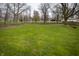 Large backyard with lush green grass and mature trees, offering plenty of open space at 933 N 19Th N St, Elwood, IN 46036