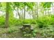 A rustic picnic table under the canopy of mature trees in a secluded area of the backyard at 12253 Bedrock Ct, Fishers, IN 46037