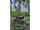 Wooden picnic table nestled within a lush backyard, shaded by mature trees, creating a private and serene setting at 12253 Bedrock Ct, Fishers, IN 46037