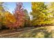 Lush backyard with vibrant fall colors, creating a picturesque and serene outdoor setting at 1832 Live Oak Ct, Avon, IN 46123