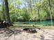Outdoor firepit near the lake and pile of firewood, perfect for entertaining or relaxing in nature at 4363 E State Road 252, Franklin, IN 46131