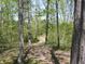 Lush forest featuring tall trees and a winding path at 4363 E State Road 252, Franklin, IN 46131