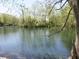 Breathtaking view of the lake. Enjoy the beauty and tranquility at 4363 E State Road 252, Franklin, IN 46131