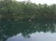 Enjoy the tranquility of the lake view from this unique property with lush surrounding greenery at 4363 E State Road 252, Franklin, IN 46131