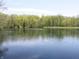 Still shot of a lake surrounded by mature trees and lush green foliage at 4363 E State Road 252, Franklin, IN 46131