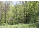 Lush green forest with new spring growth and sunlit green grass at 4363 E State Road 252, Franklin, IN 46131