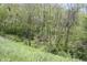 Beautiful scenery with lush green landscape, variety of trees and plants with sunlight at 4363 E State Road 252, Franklin, IN 46131