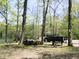 Lakeside picnic area featuring a grill, picnic table, and a view of the water through mature trees at 4363 E State Road 252, Franklin, IN 46131