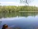 Scenic view of a tranquil pond surrounded by lush greenery, perfect for relaxation at 4363 E State Road 252, Franklin, IN 46131