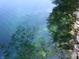 The pond's edge, featuring crystal-clear water and lush greenery at 4363 E State Road 252, Franklin, IN 46131
