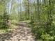 Nature path surrounded by beautiful trees providing a serene experience at 4363 E State Road 252, Franklin, IN 46131