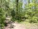 Scenic walking path surrounded by lush greenery and mature trees at 4363 E State Road 252, Franklin, IN 46131