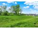 Expansive backyard with lush green grass, mature trees, and community residences at 6429 Yuma Ct, Whitestown, IN 46075