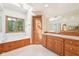 Bright bathroom featuring a shower, bathtub, natural lighting, and wooden cabinets at 101 Applecross Dr, Brownsburg, IN 46112