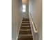 Carpeted staircase with white banister and natural lighting at 10931 N Longbranch St, Monrovia, IN 46157