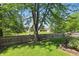 Spacious backyard features lush green grass, mature trees, and a charming wooden fence for privacy at 14634 Village Park East Dr, Carmel, IN 46033