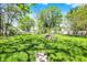 Spacious backyard with green grass and scattered trees on a sunny day at 1610 S F St, Elwood, IN 46036