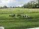 Landscaped backyard with a manicured lawn and an open view of the greenery beyond the property at 2635 Red Admiral Ln, Lebanon, IN 46052