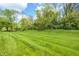 Expansive green lawn and lush trees set against a blue sky with white clouds at 6354 Cotton Bay N Dr, Indianapolis, IN 46254