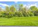 Well-manicured green lawn and trees under a partly cloudy blue sky at 6354 Cotton Bay N Dr, Indianapolis, IN 46254