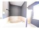 Bathroom featuring a soaking tub, walk-in shower, and bright natural light at 7611 Misty Meadow Dr, Indianapolis, IN 46217
