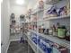 Walk-in pantry featuring wire shelving to help organize food and small appliances at 9822 Tampico Chase, Fishers, IN 46040