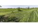 Rolling green field with native grasses, a beautiful space to get out and enjoy the beauty of nature at 1115 Senate Dr, Edinburgh, IN 46124