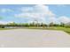 Full basketball court with hoop, net, and grassy surroundings under a sunny sky at 15143 Gallop Ln, Fishers, IN 46040