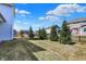Spacious backyard featuring a manicured lawn and several young evergreen trees at 16516 Wilsons Farm Dr, Fishers, IN 46040