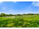 Scenic view of a vast green pasture enclosed by a white fence on a clear day at 2508 Indian Creek Rd, Trafalgar, IN 46181