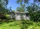 View of overgrown backyard with grass and plants at 2609 Mars Hill St, Indianapolis, IN 46241