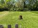Expansive backyard featuring lush green grass and mature trees, perfect for outdoor enjoyment at 909 Hickory St, Anderson, IN 46012
