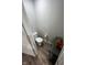 A well-kept powder room with wood flooring and an exposed toilet at 11204 Sashing Way, Monrovia, IN 46157