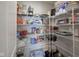 Organized pantry with ample shelving to store food and small kitchen appliances at 1181 Galaxy Ln, Danville, IN 46122
