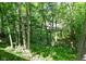 Wooded backyard with lush green foliage, mature trees, and a birdhouse at 310 Wellington Overlook, Noblesville, IN 46060