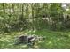 Shaded backyard featuring a wooden picnic table set, mature trees, and lush greenery at 310 Wellington Overlook, Noblesville, IN 46060