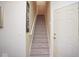 Carpeted stairway with white handrail leads to upper level of home, complemented by neutral wall color and natural light at 5047 Skipping Stone Dr, Indianapolis, IN 46237