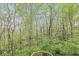 A beautiful view of the surrounding lush greenery from the home's backyard at 5948 Ridge Hill Way, Avon, IN 46123