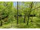 Backyard has mature trees, lush greenery, and a creek creating a serene atmosphere and a perfect backdrop for relaxation at 7189 Creekwood Estates, Brownsburg, IN 46112