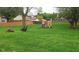 Lush backyard features a playset, a fire pit area, and mature trees at 12681 E 79Th St, Indianapolis, IN 46236