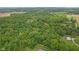 Expansive aerial view showcasing the property's serene wooded surroundings and natural beauty at 2548 N Letterman Rd, Paragon, IN 46166