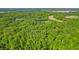 Lush forest with a home, gardens, and cultivated plots located within the treeline at 5920 Crooked Creek E Dr, Martinsville, IN 46151