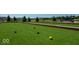 Well-maintained bocce ball court on lush green turf, ideal for outdoor games and leisurely recreation at 6403 Yuma Ct, Whitestown, IN 46075