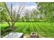 Expansive backyard with lush lawn and mature trees offering a serene outdoor retreat with a hot tub at 9790 Summerlakes Dr, Carmel, IN 46032