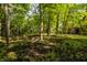 Secluded backyard featuring mature trees and natural ground cover, offering a peaceful retreat at 7406 N Washington Blvd, Indianapolis, IN 46240