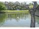 Apartment complex viewed through a tree with a pond and swimming swan at 8751 Jaffa Court East Dr # Apt 32, Indianapolis, IN 46260