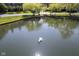 View of a serene swan gliding across a pond reflecting sunlight at 8751 Jaffa Court East Dr # Apt 32, Indianapolis, IN 46260