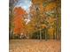 Picturesque backyard with colorful autumn trees, a lush lawn covered in fallen leaves at 3273 Bailey Dr, Morgantown, IN 46160