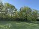 Well-maintained backyard with lush green grass, trees, and a chain link fence at 450 Columbia Ct, Greenwood, IN 46142